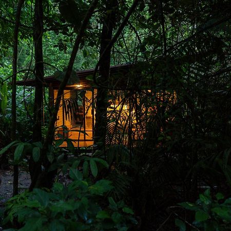 Hamadryade Lodge Puerto Misahuallí Exterior foto